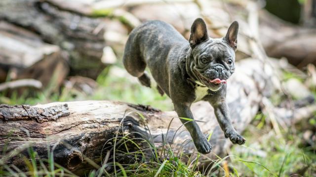 Writing performant code with tidy tools