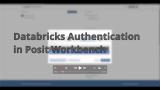 Databricks Authentication in Posit Workbench